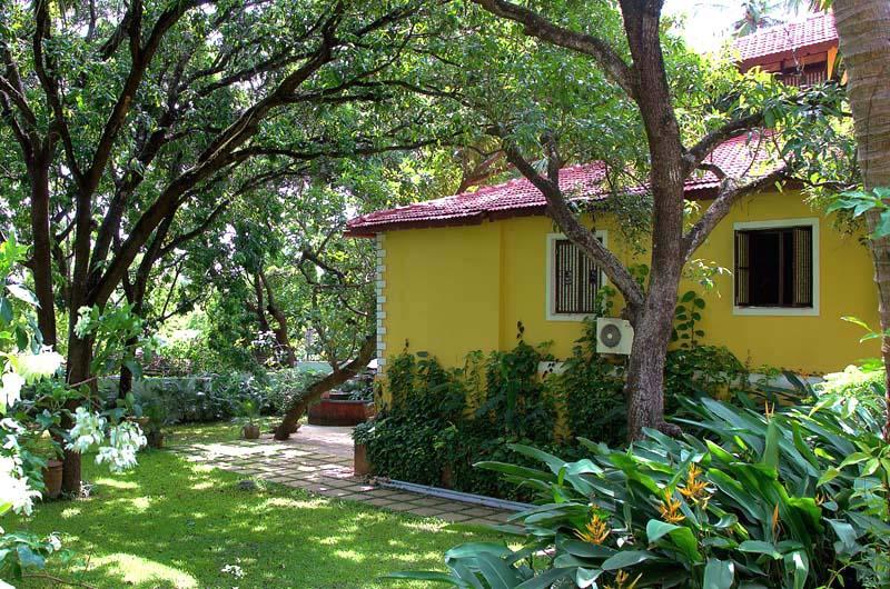 Casa Amaya